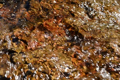 DSC_9898 (Large).JPG